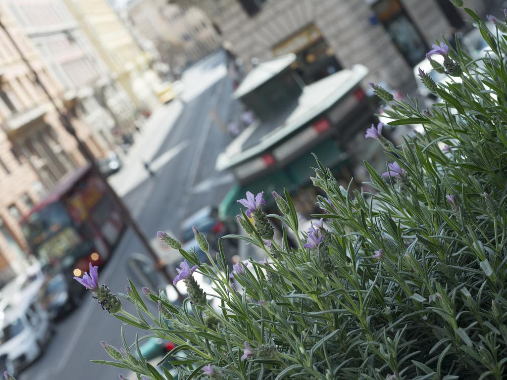 Corso Vittorio 308 Acomodação com café da manhã Roma Exterior foto